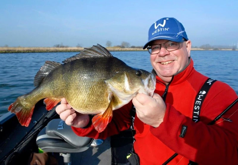 ShadTeez 9 Cm, 7g (bulk) 2 ShadTeez 9 Cm, 7g (bulk) - Image 2