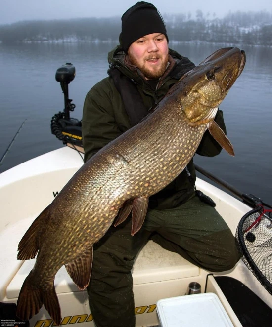 Mike The Pike 28 Cm 2 Mike The Pike 28 Cm - Image 2