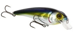 RawBite 11cm 27g Low Floating -Westin Fishing WS14112r 4