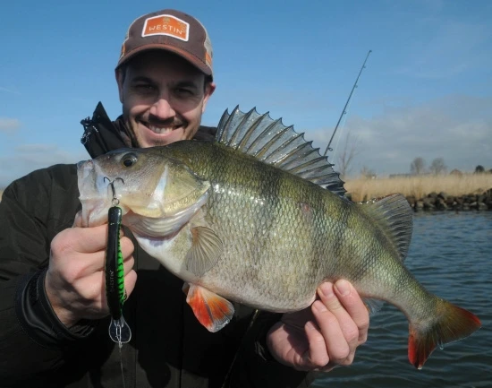 Platypus Shallow Runner 10 Cm 2 Platypus Shallow Runner 10 Cm - Image 2