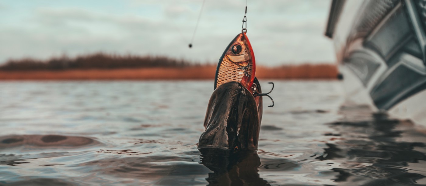 Westin Fishing -Westin Fishing frontpage dive into